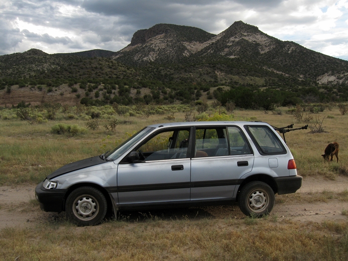 My Deep Thanks to&nbsp;Daphne